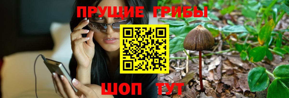 Галлюциногенные грибы GOLDEN TEACHER Новозыбков